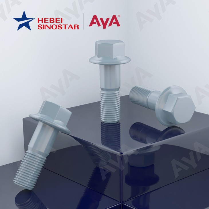 Hex Bolt With Flange-AYA.jpg