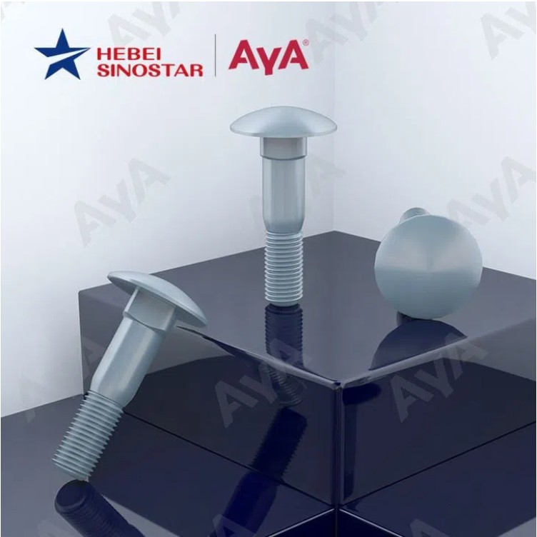 Fine Thread Carriage Bolts.jpg